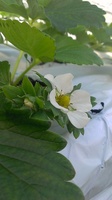 IMAG0521.jpg
